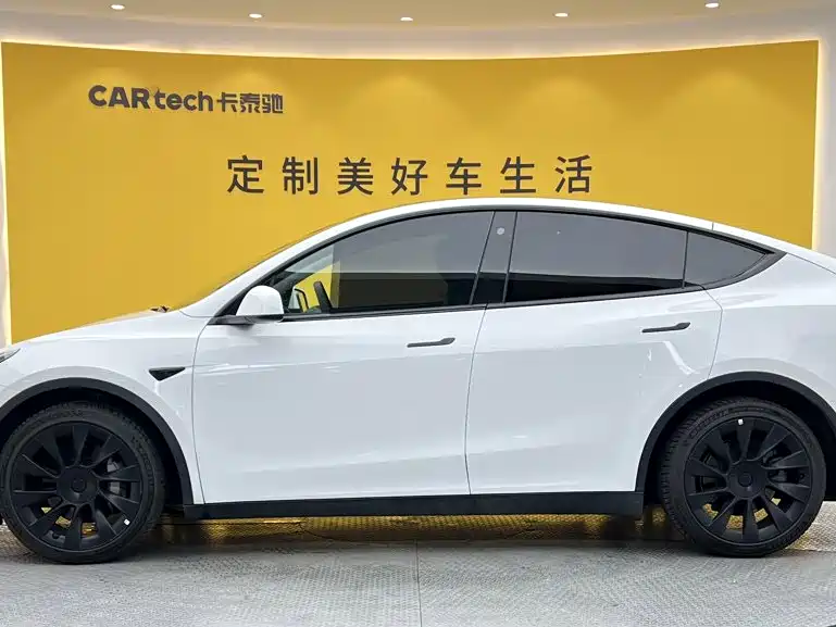 Tesla Model Y — миниатюра 6