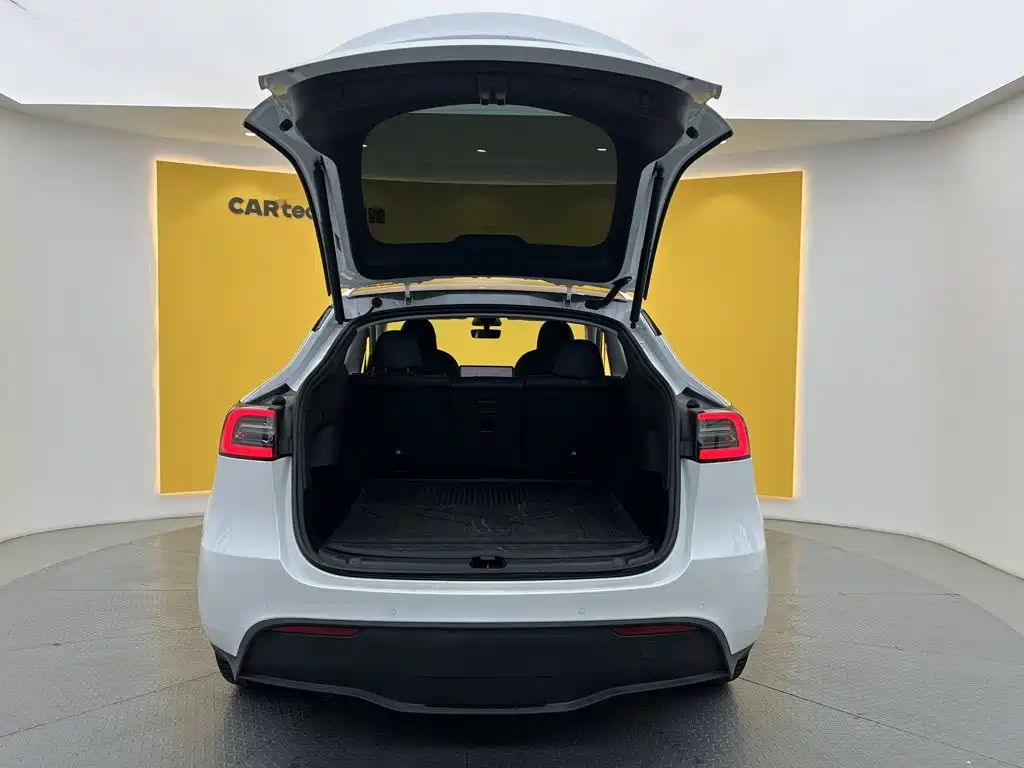 Tesla Model Y — миниатюра 11
