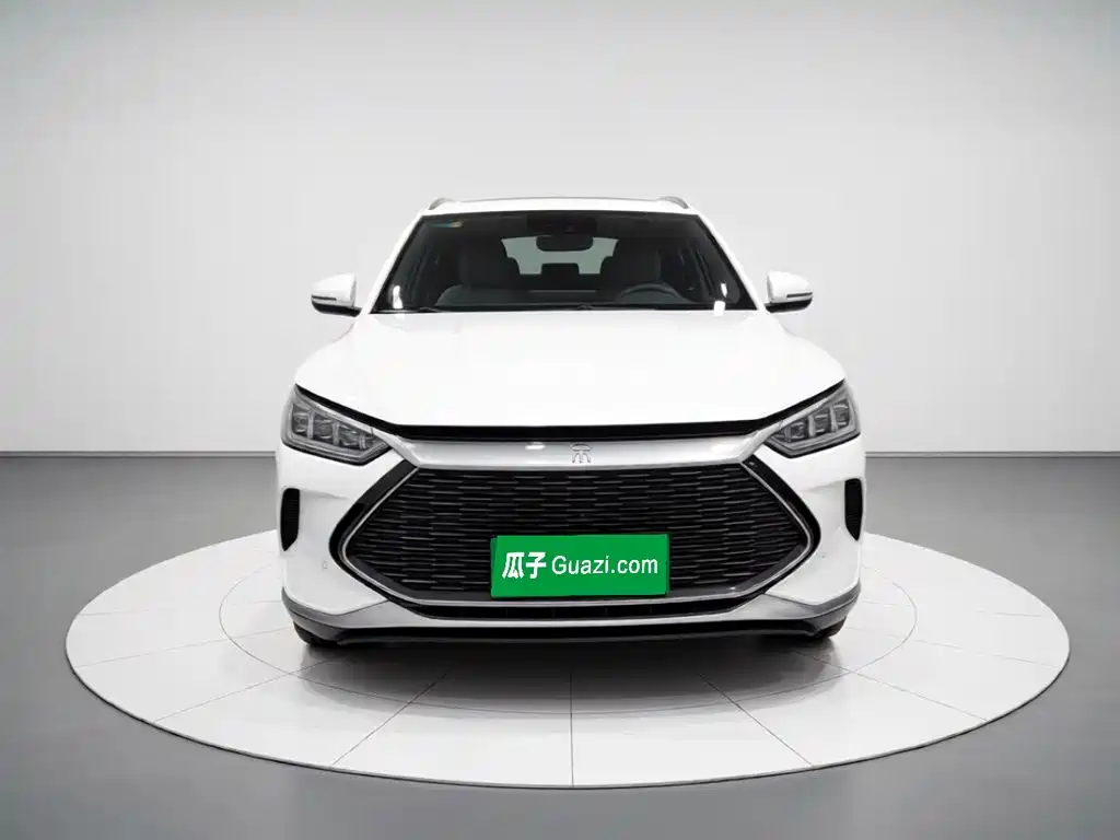 BYD PLUS New Energy — миниатюра 2