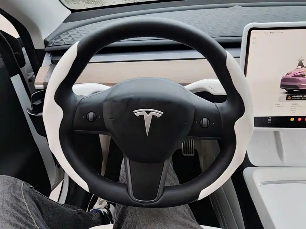 Tesla Model Y — миниатюра 11