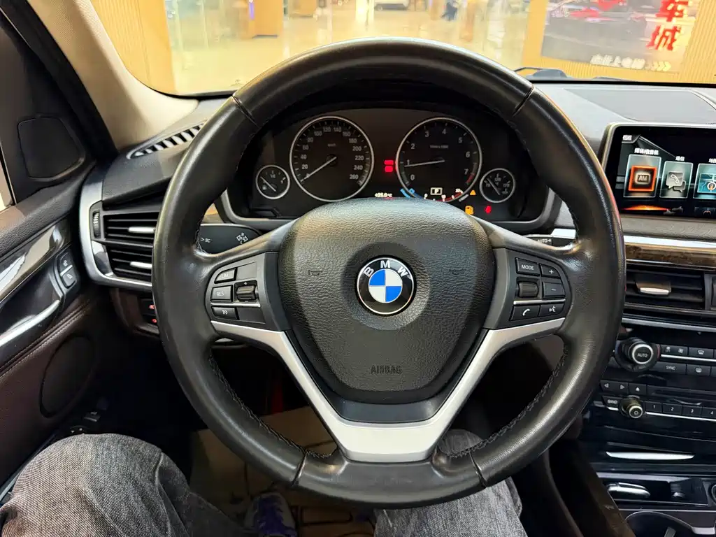BMW X5 (Import) — миниатюра 16
