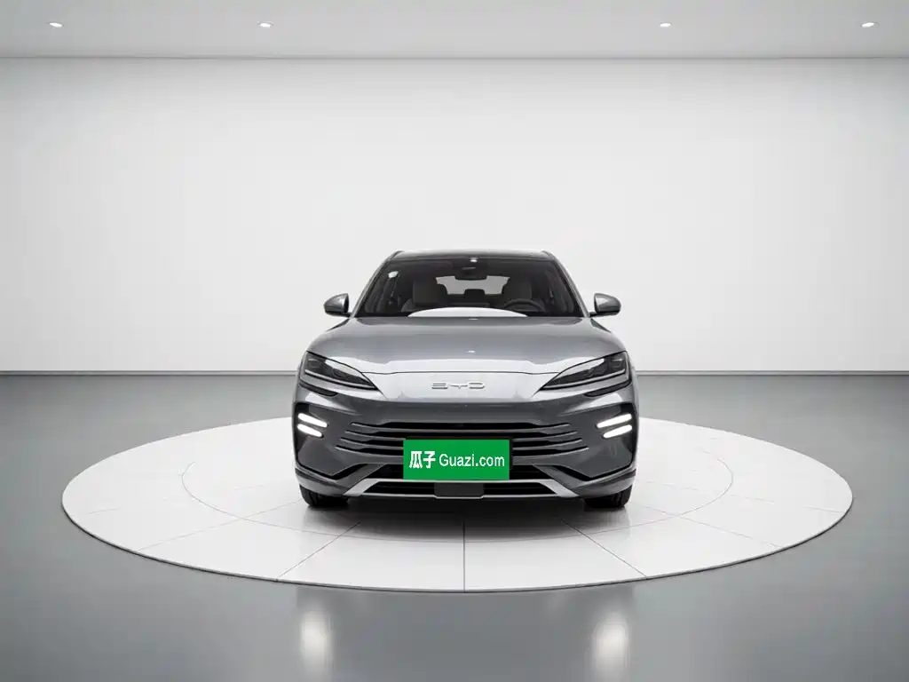 BYD PLUS New Energy — миниатюра 2