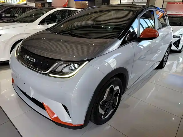 BYD Dolphin