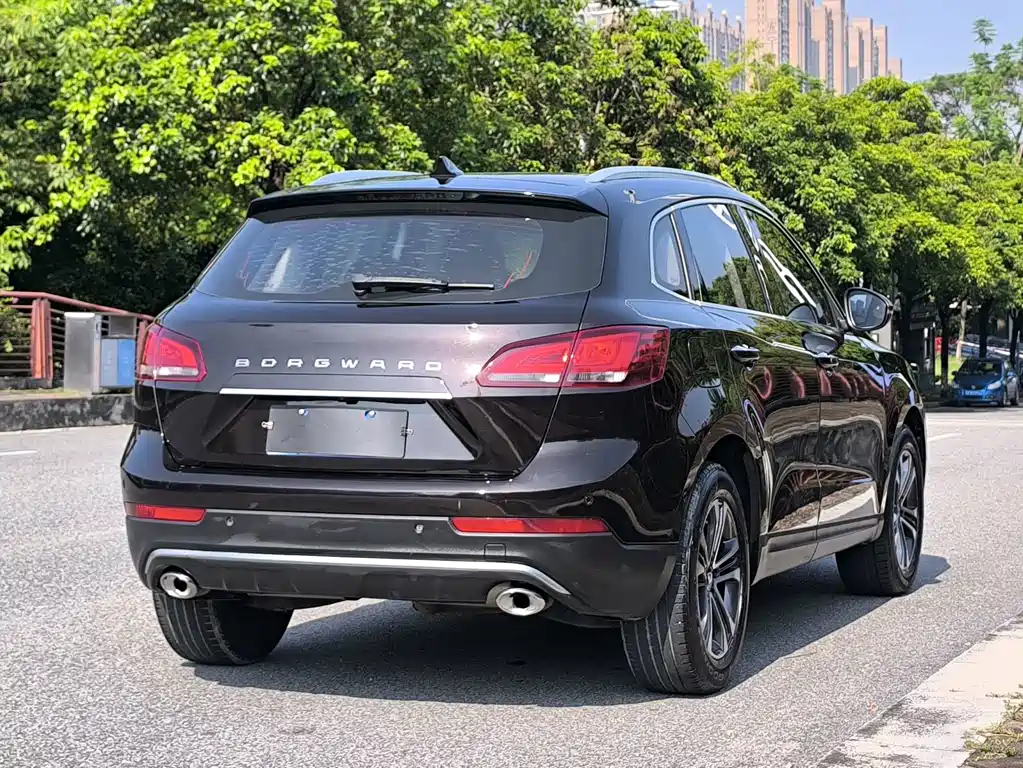 Borgward BX7 28T 2WD Luxury Edition 5 seats, фото 6