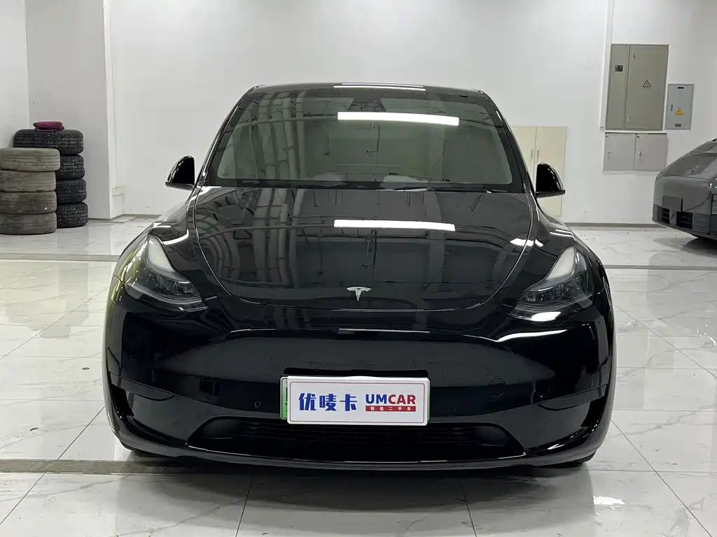 Tesla Model Y — миниатюра 2