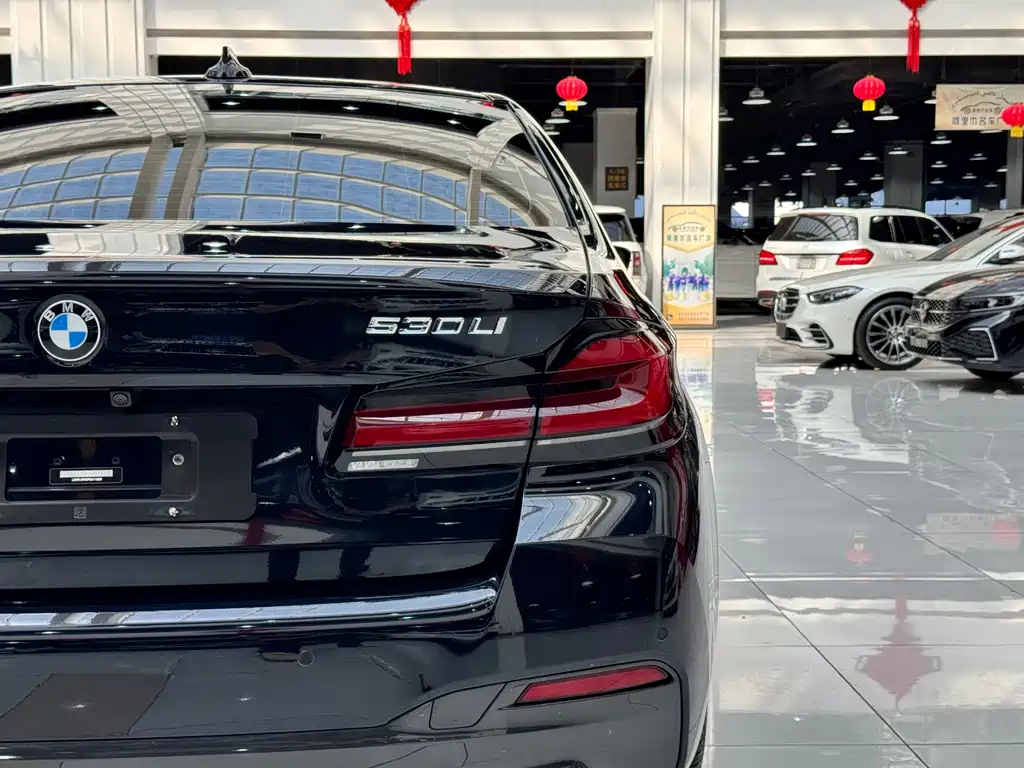 BMW 5 Series — миниатюра 24