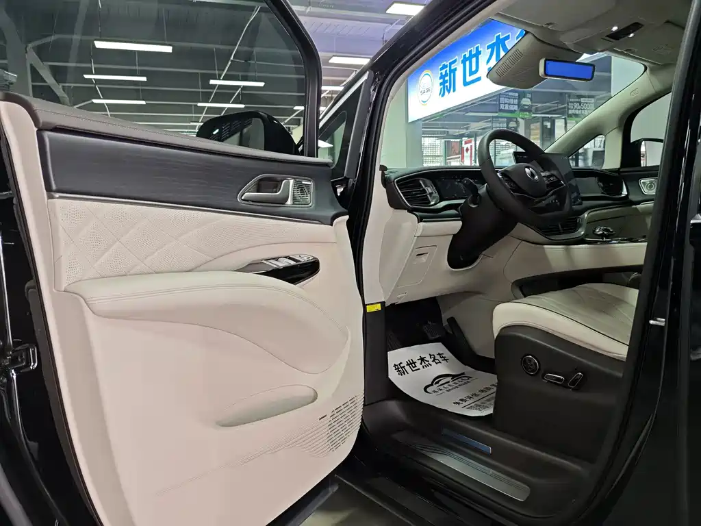 Denza Denza D9 — миниатюра 4