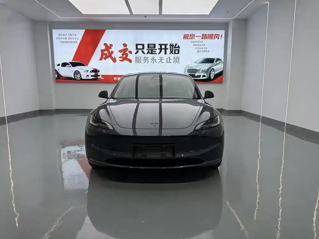 Tesla Model 3 — миниатюра 2