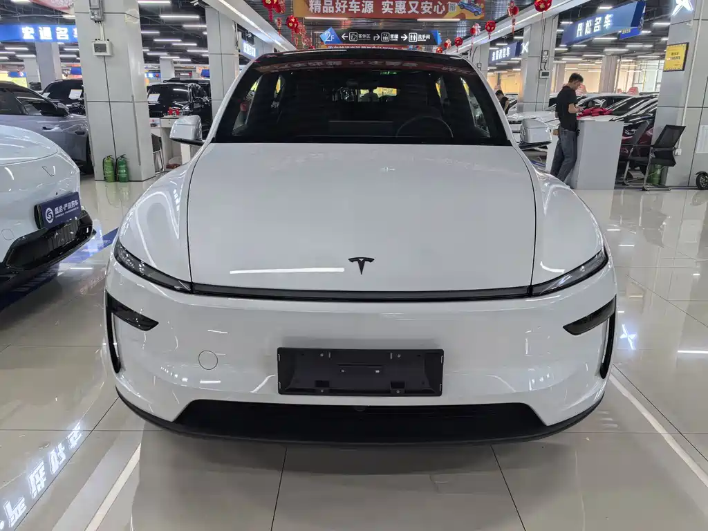 Tesla Model Y — миниатюра 2