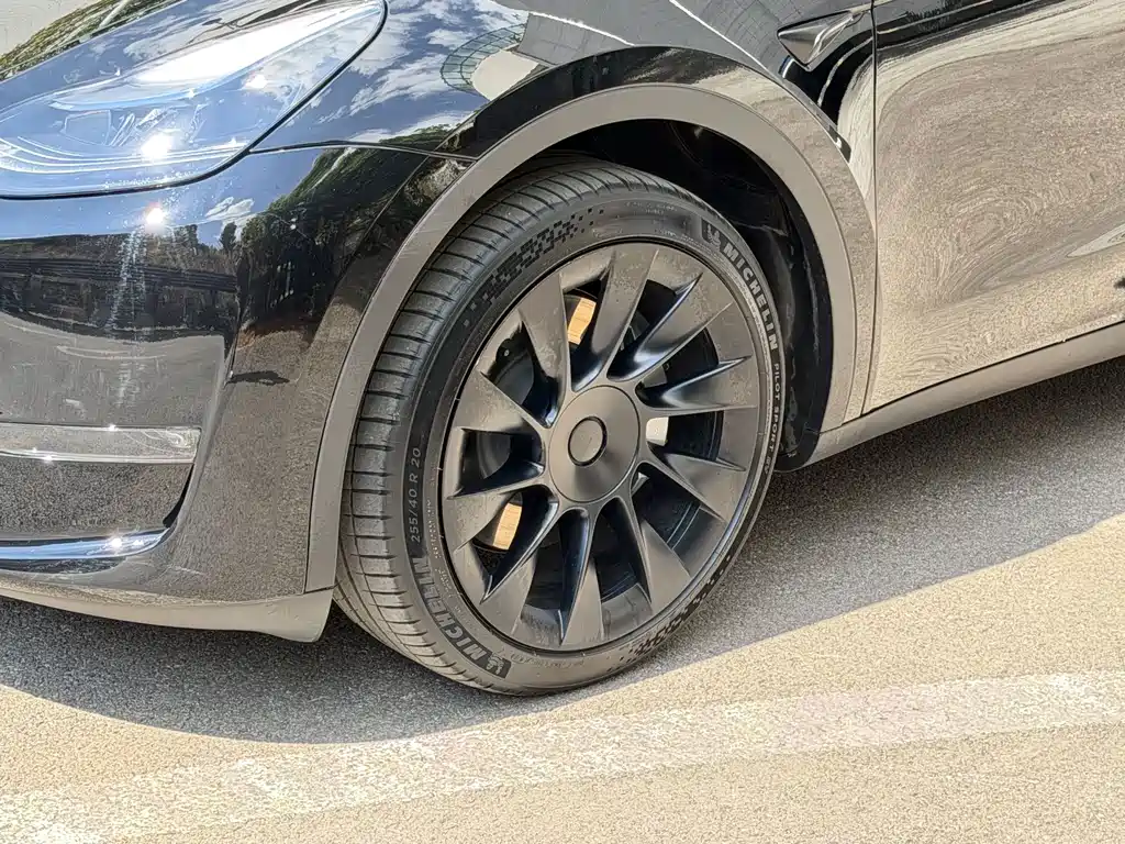 Tesla Model Y — миниатюра 16
