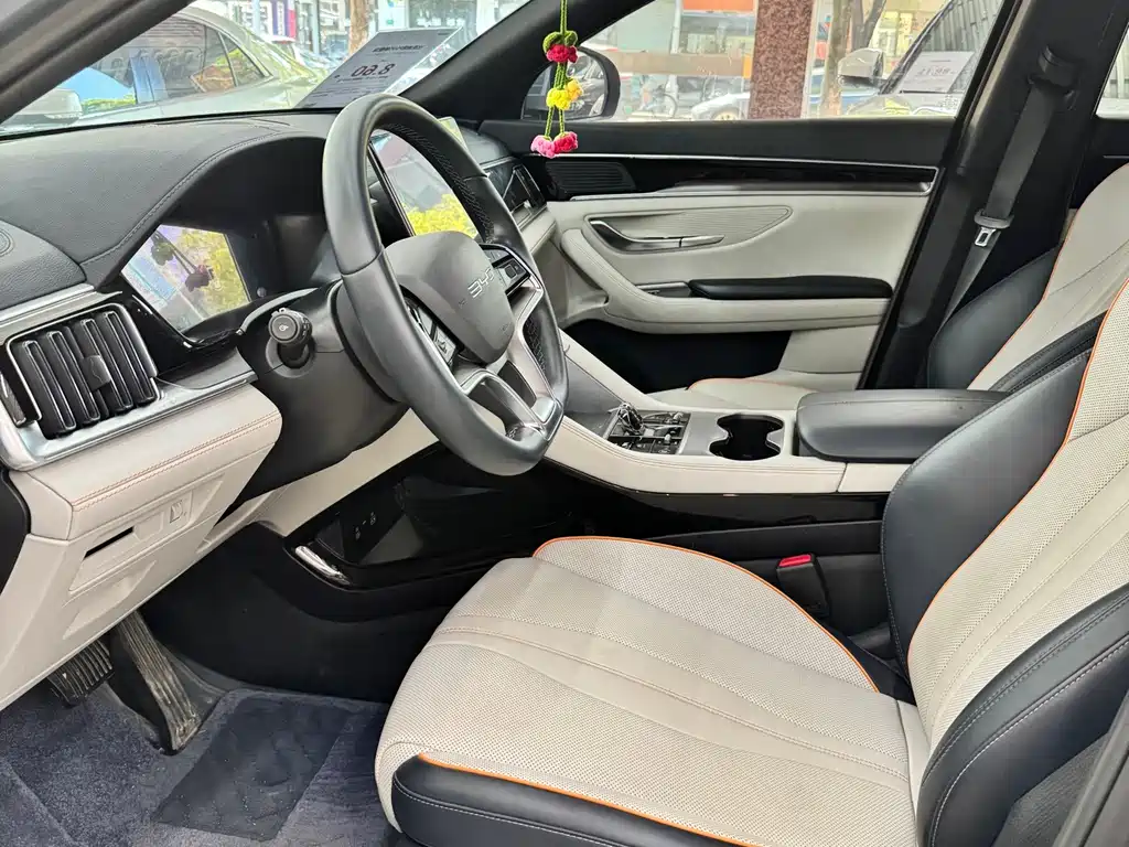 BYD PLUS New Energy — миниатюра 8