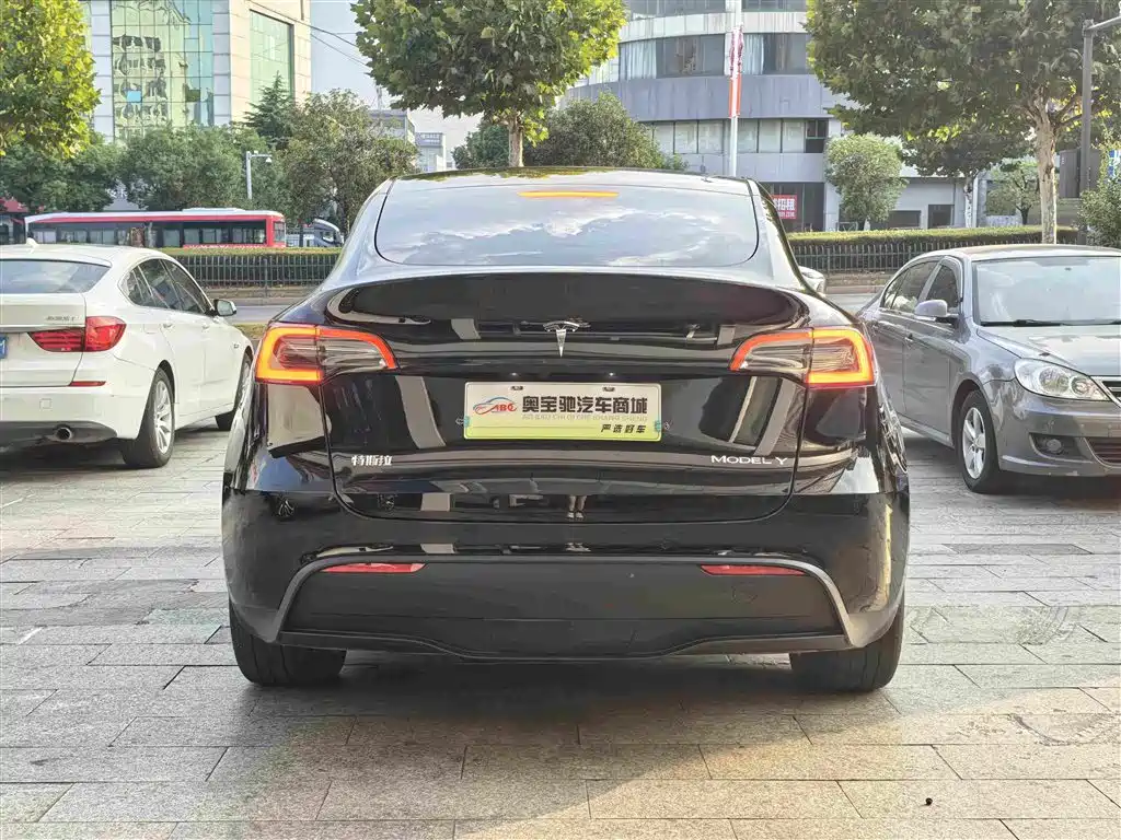Tesla Model Y — миниатюра 8