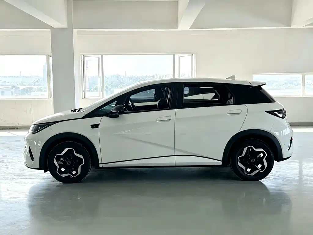 BYD Dolphin — миниатюра 3