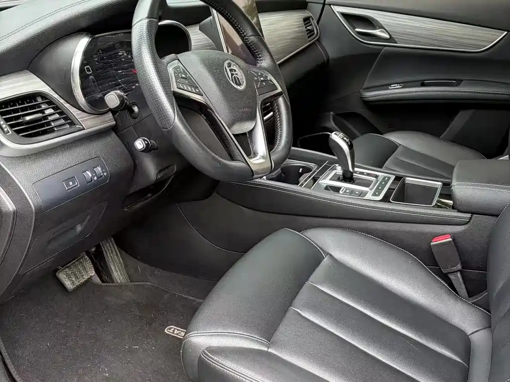 BYD MAX New Energy — миниатюра 6