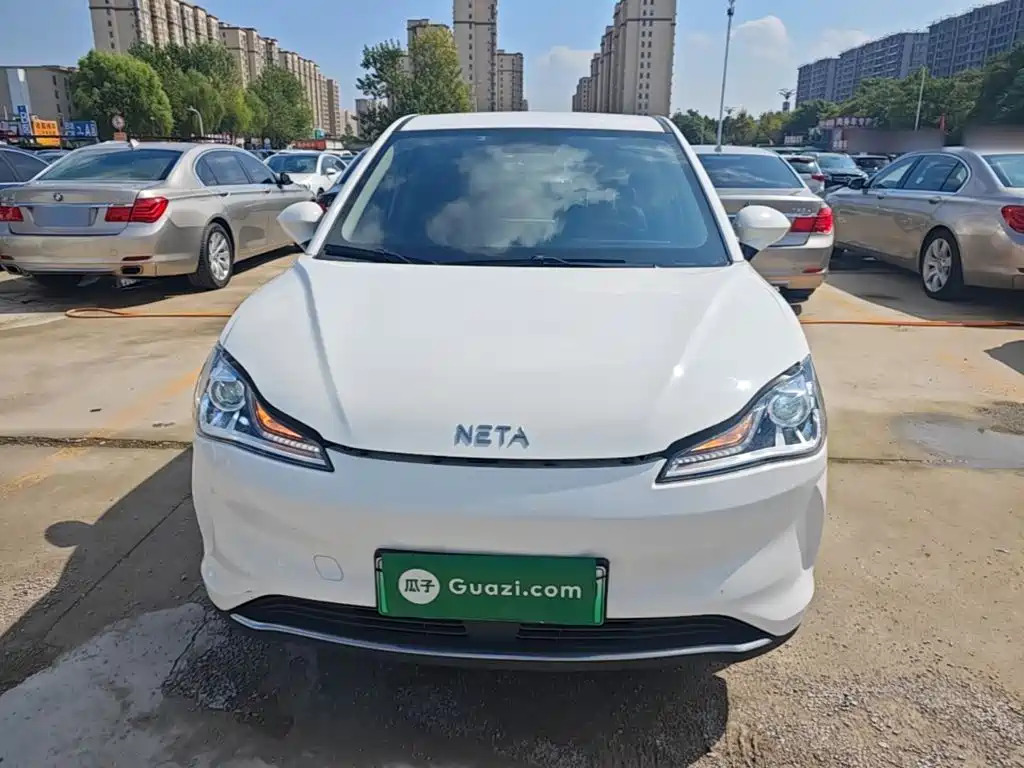Neta Neta V — миниатюра 3