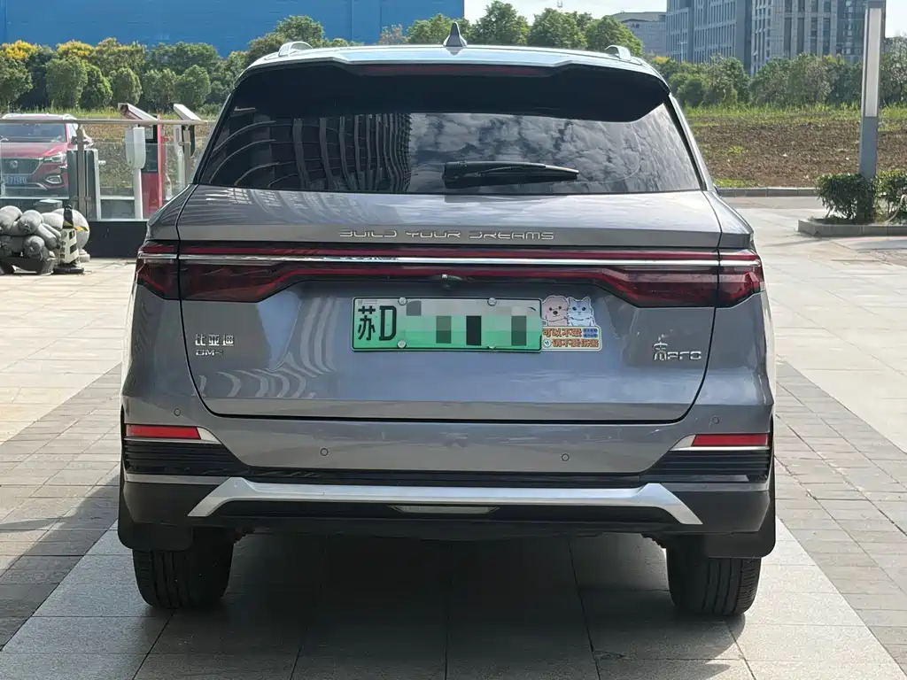 BYD Pro New Energy — миниатюра 4