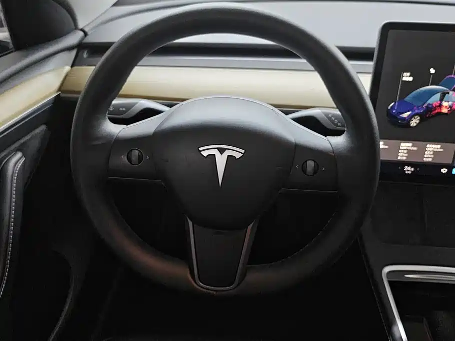 Tesla Model Y — миниатюра 15