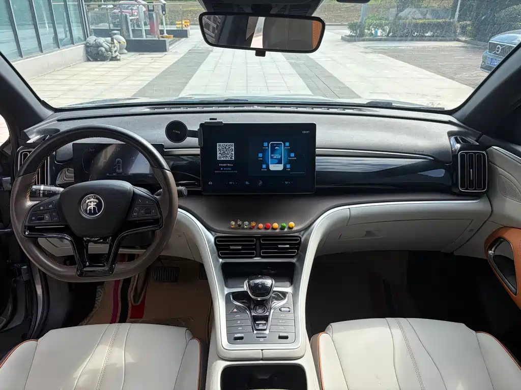 BYD Pro New Energy — миниатюра 11