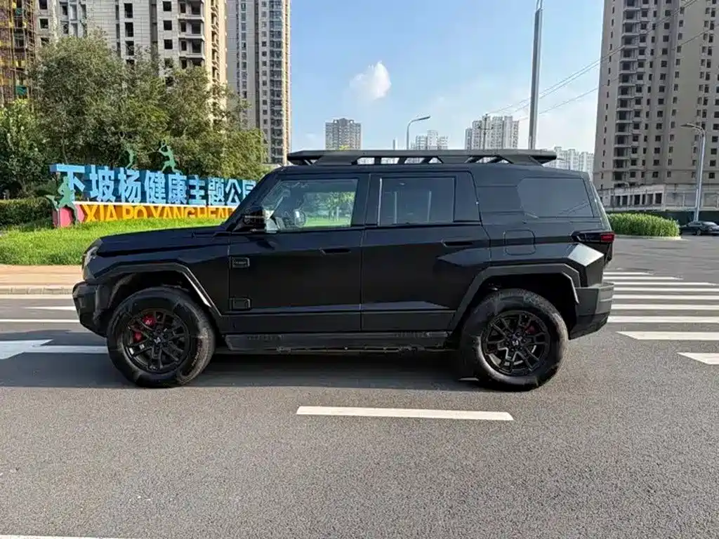 Mengshi Mengshi 917 — миниатюра 7