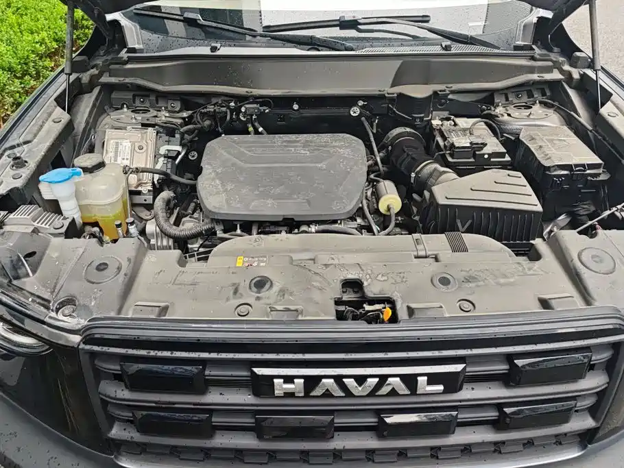 Haval Big Dog — миниатюра 10