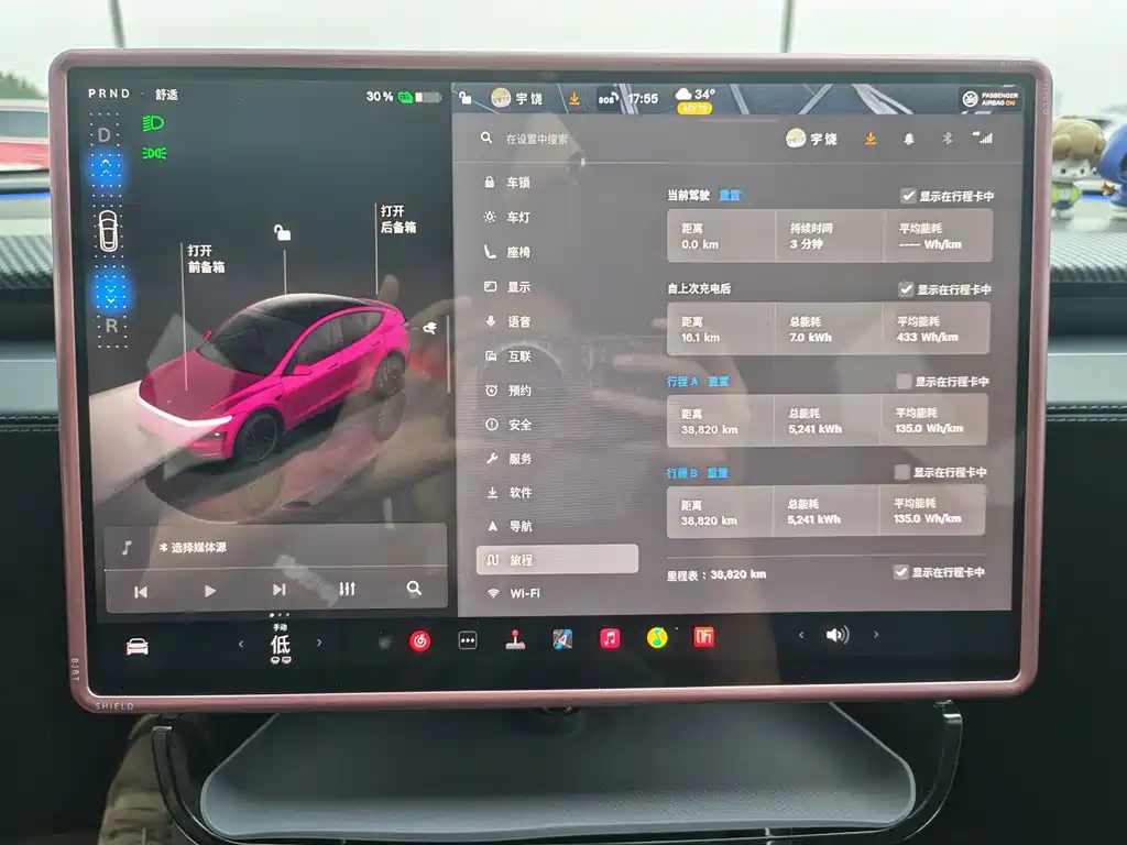 Tesla Model Y — миниатюра 21