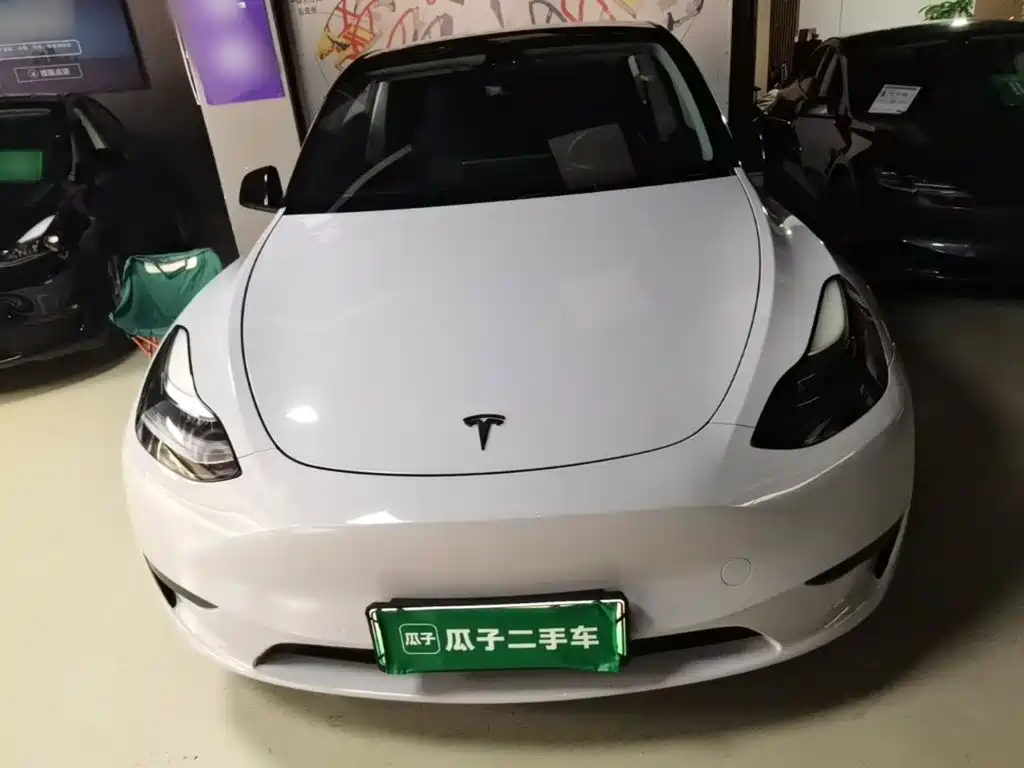 Tesla Model Y — миниатюра 3