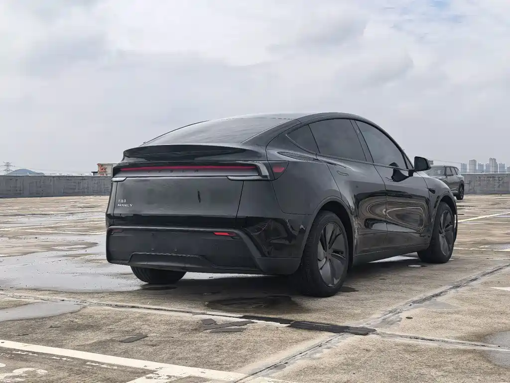 Tesla Model Y — миниатюра 5