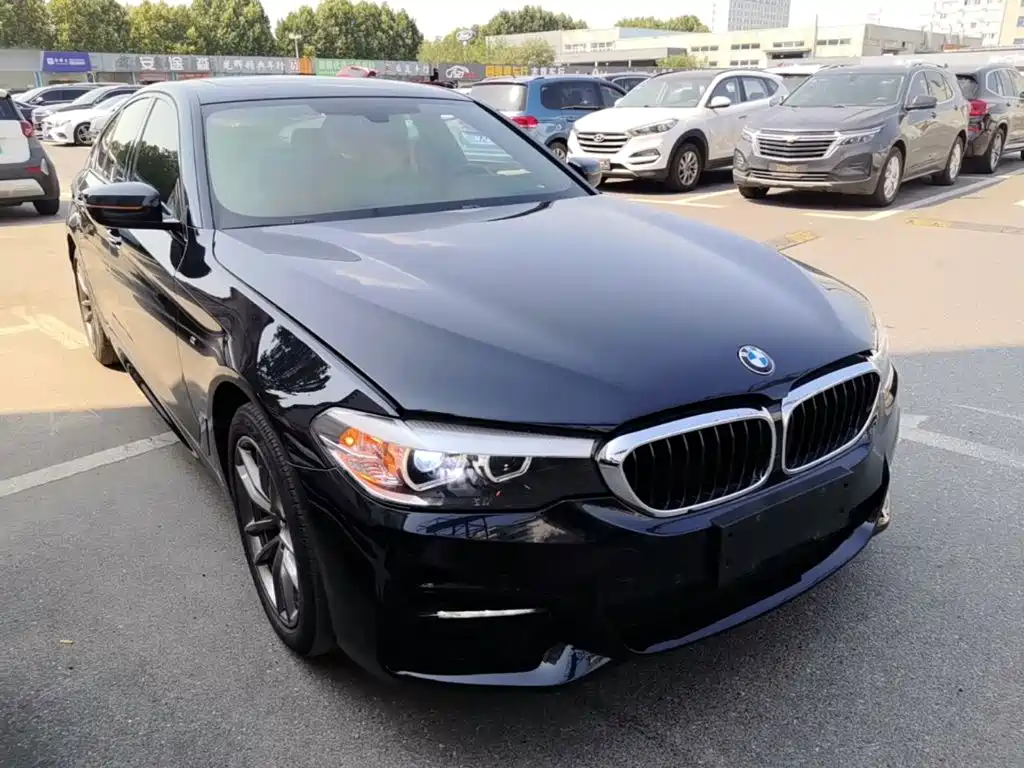 BMW 5 Series (Import) — миниатюра 4