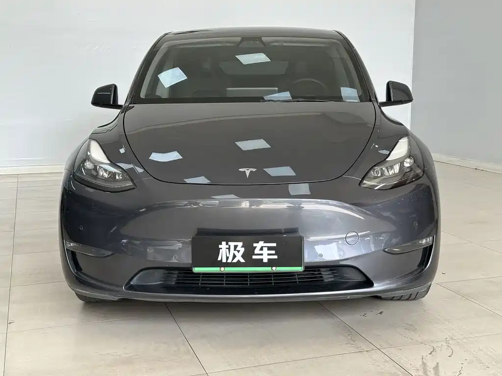 Tesla Model Y — миниатюра 2