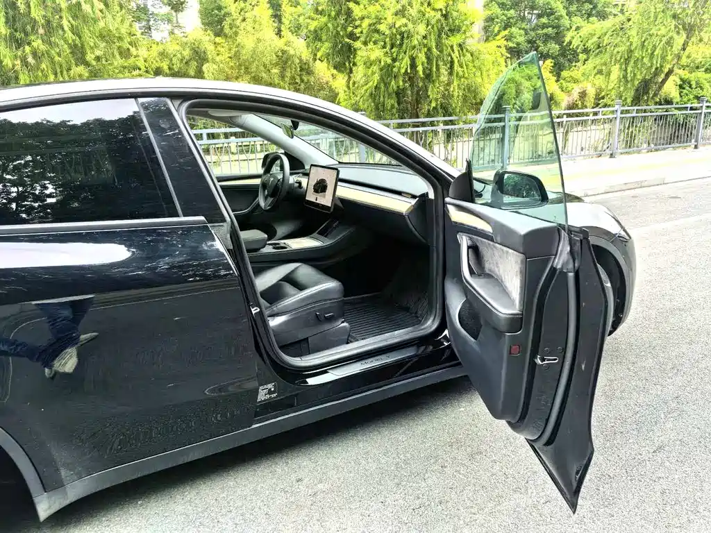 Tesla Model Y — миниатюра 7