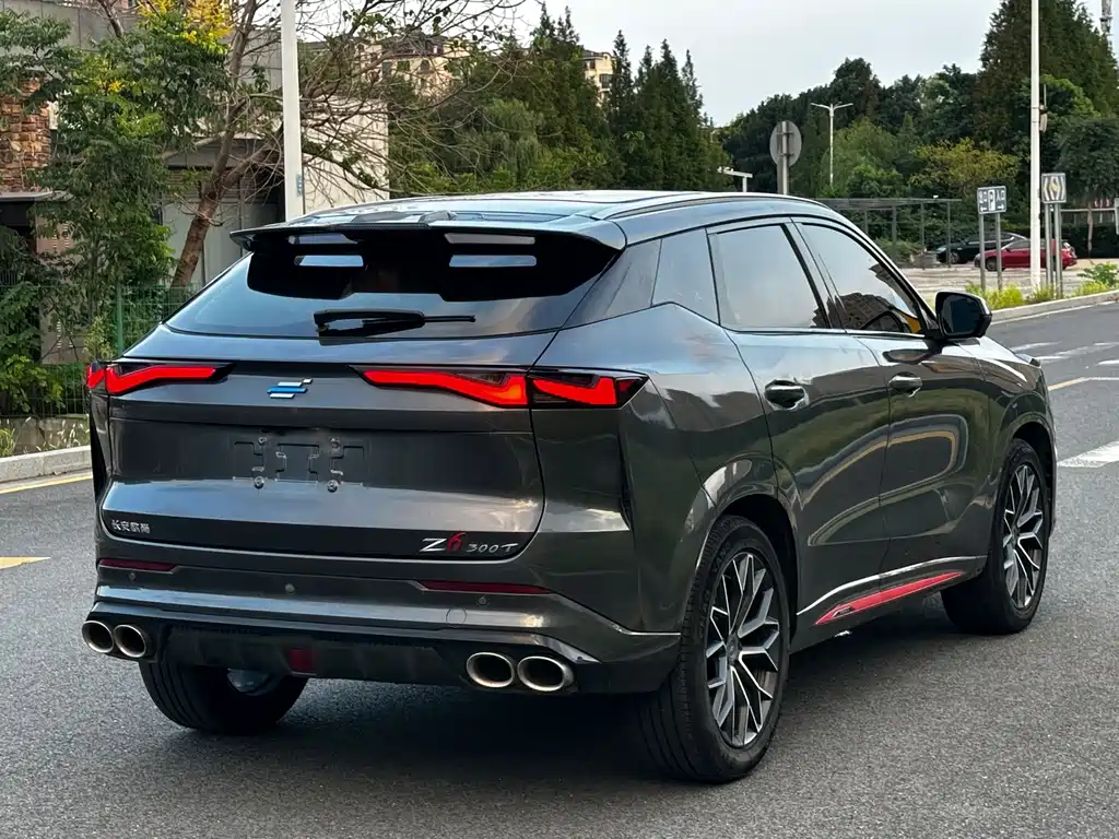 Oshan Oushang Z6 — миниатюра 12