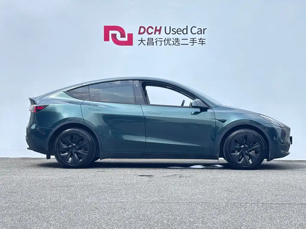 Tesla Model Y — миниатюра 3