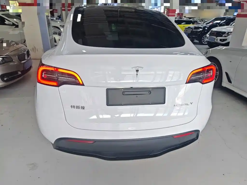 Tesla Model Y — миниатюра 6