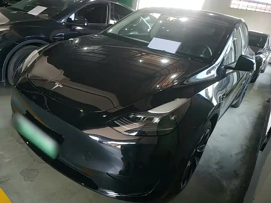Tesla Model Y — миниатюра 2