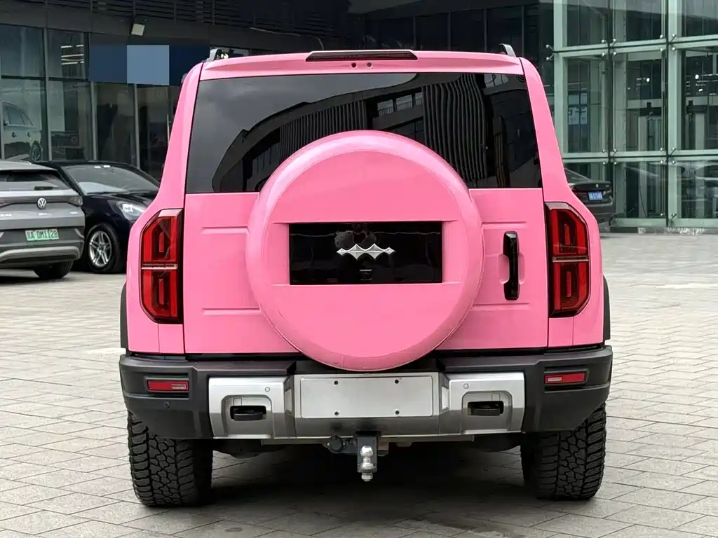 FANG CHENG BAO LEOPARD 5