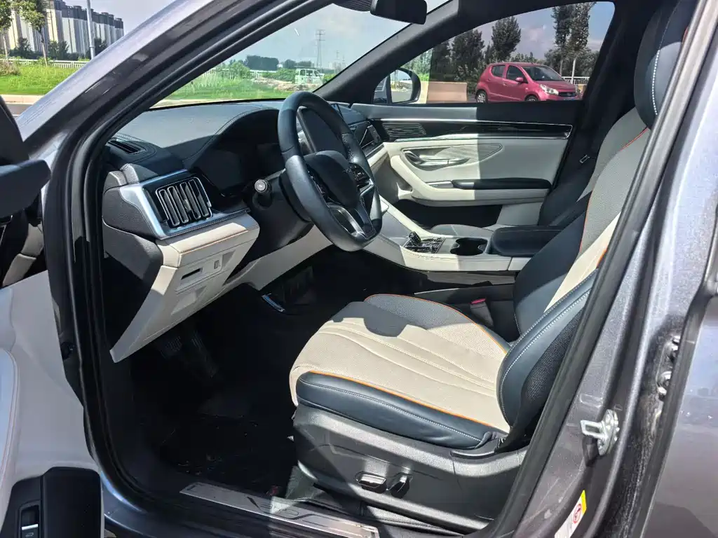 BYD PLUS New Energy - фото 4