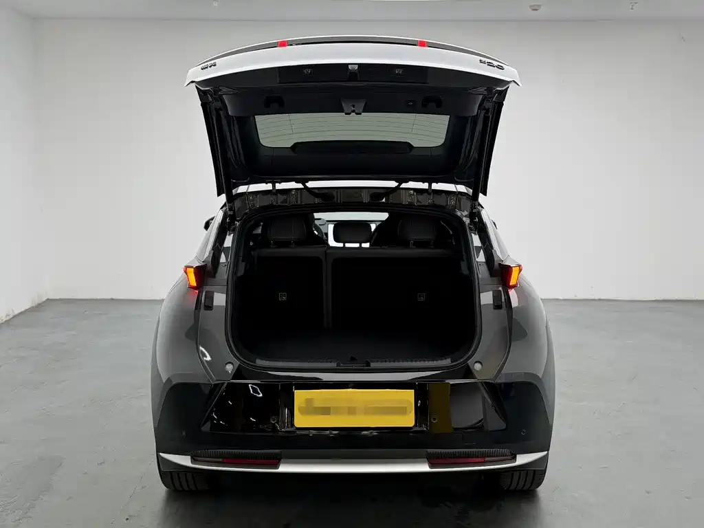 Lynk & Co Z20 — миниатюра 7