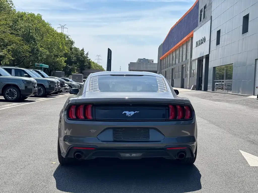 Ford Mustang — миниатюра 9