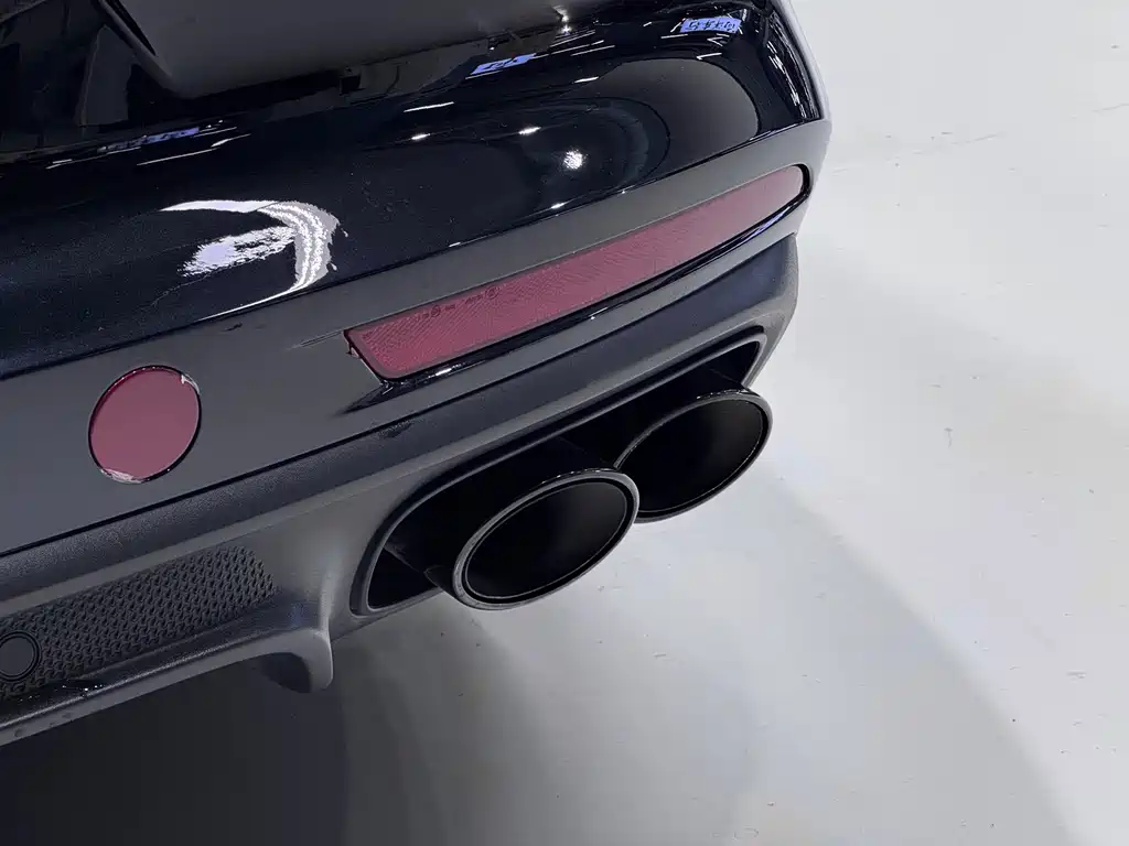 PORSCHE PANAMERA NEW ENERGY