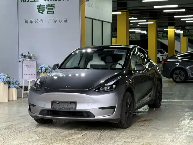 TESLA MODEL Y 2024
