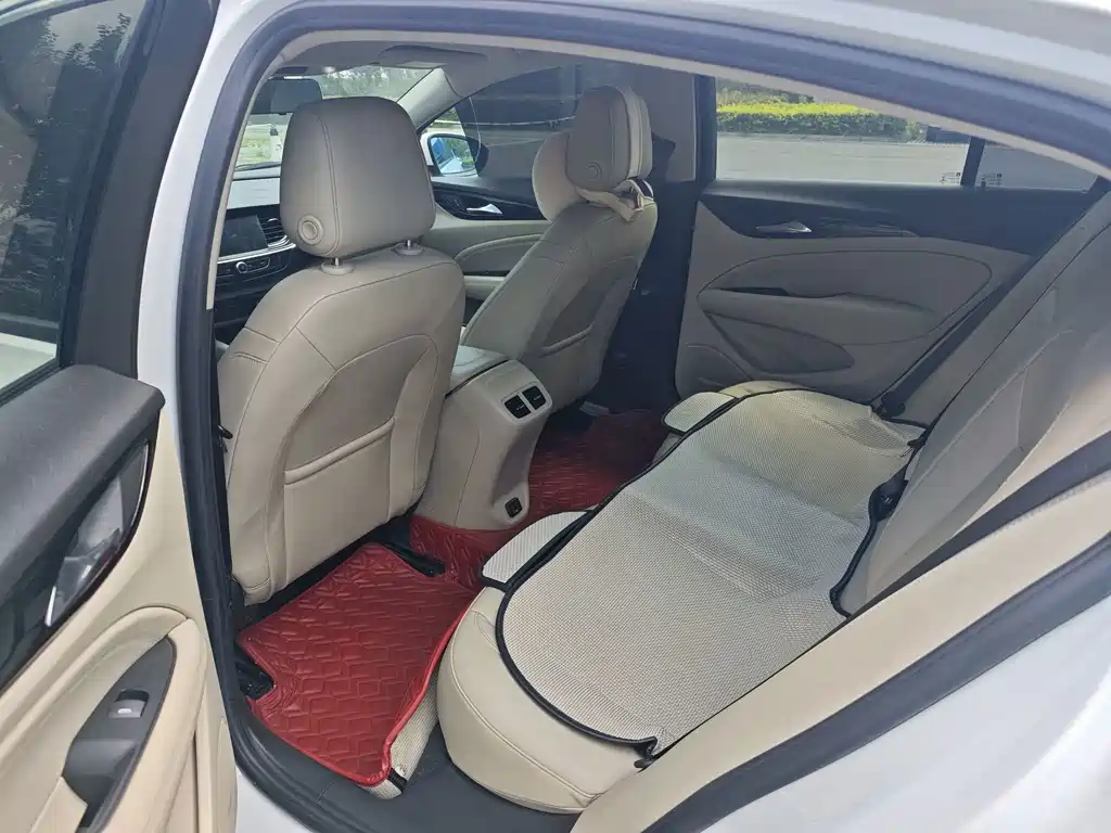 Buick Regal — миниатюра 12