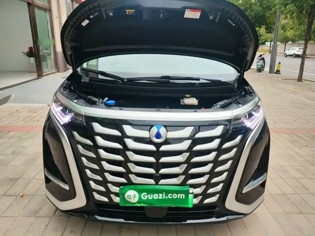 Denza Denza D9 — миниатюра 20