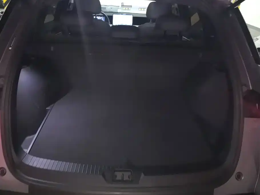 BYD Pro New Energy — миниатюра 4