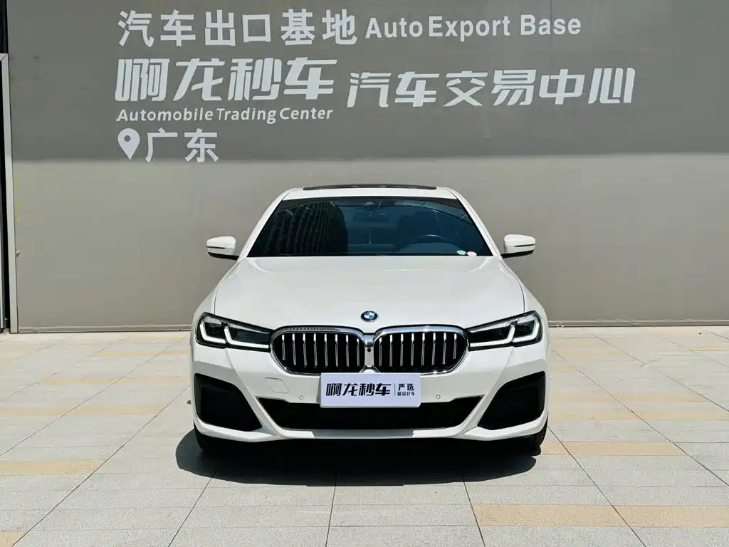 BMW 5 Series 5 2022 530Li xDrive M Sport