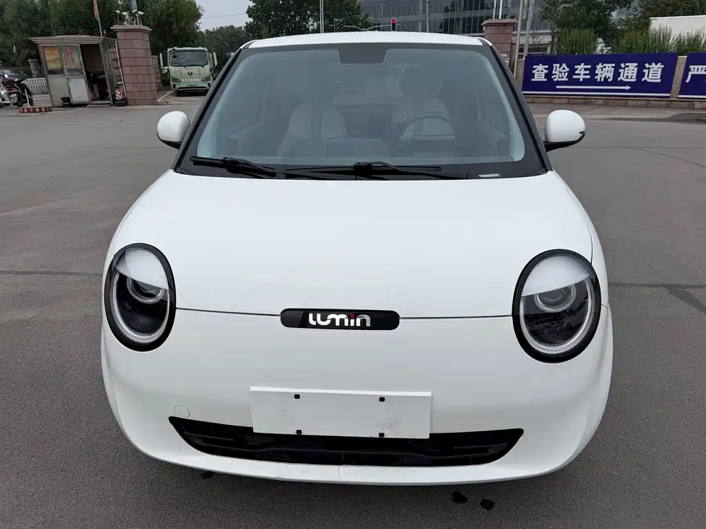 Qiyuan Lumin — миниатюра 2