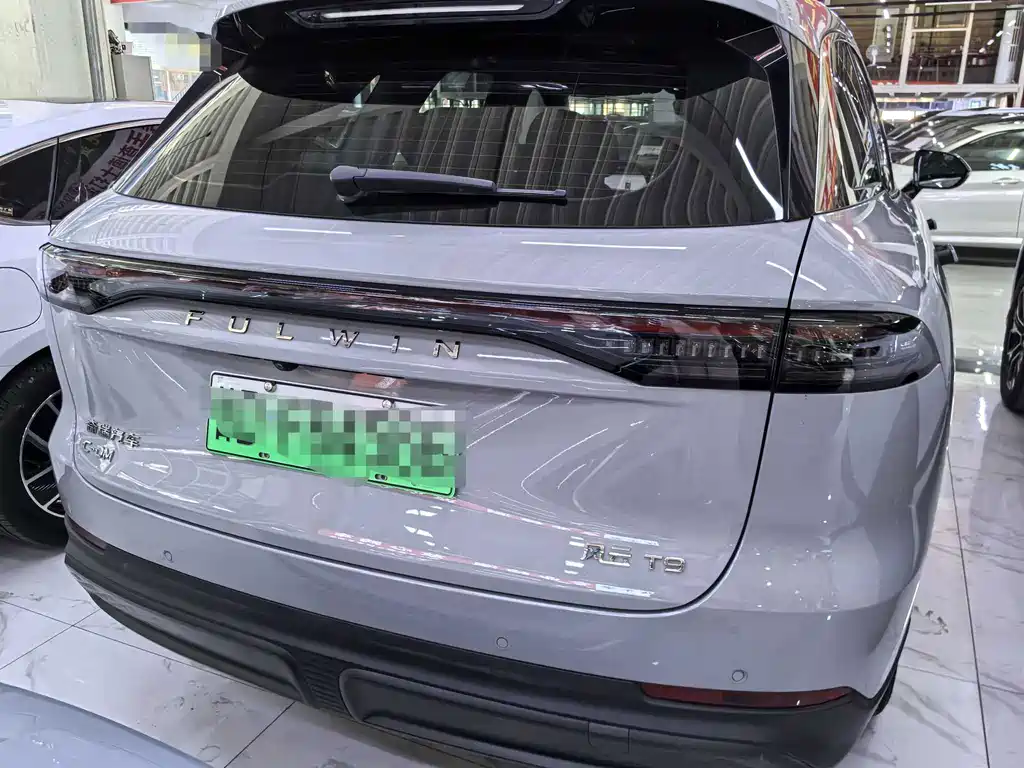 Fulwin Fengyun T9 — миниатюра 5