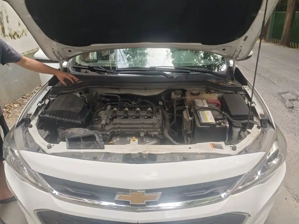 Chevrolet Cavalier — миниатюра 21