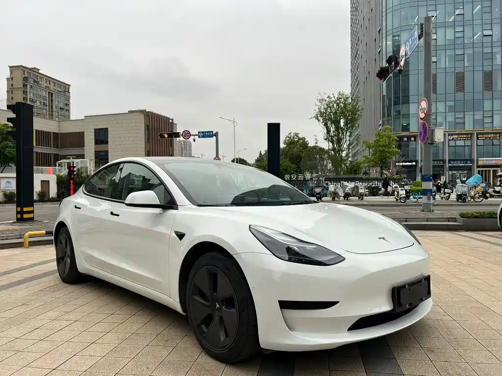 Tesla Model 3 2021