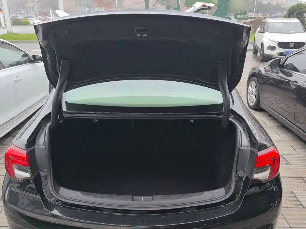 Buick Regal — миниатюра 19