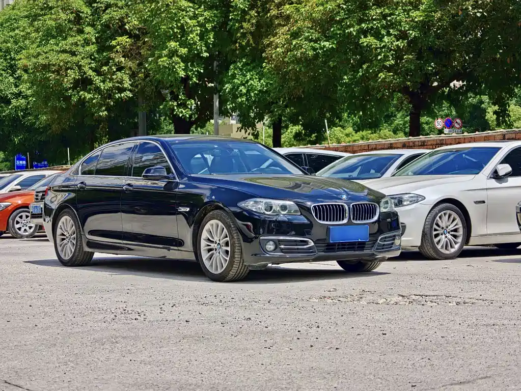 BMW 5 Series — миниатюра 3
